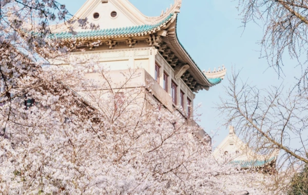 Top 5 Destinos de viaje de primavera en China: Flores de floración, tesoros culturales & maravillas escénicas