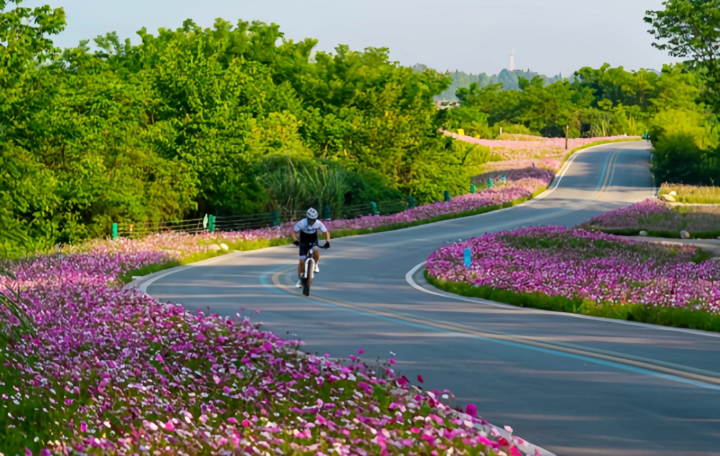 Discover Chengdu's Best Cycling Routes: A Guide for Nature and Adventure Lovers