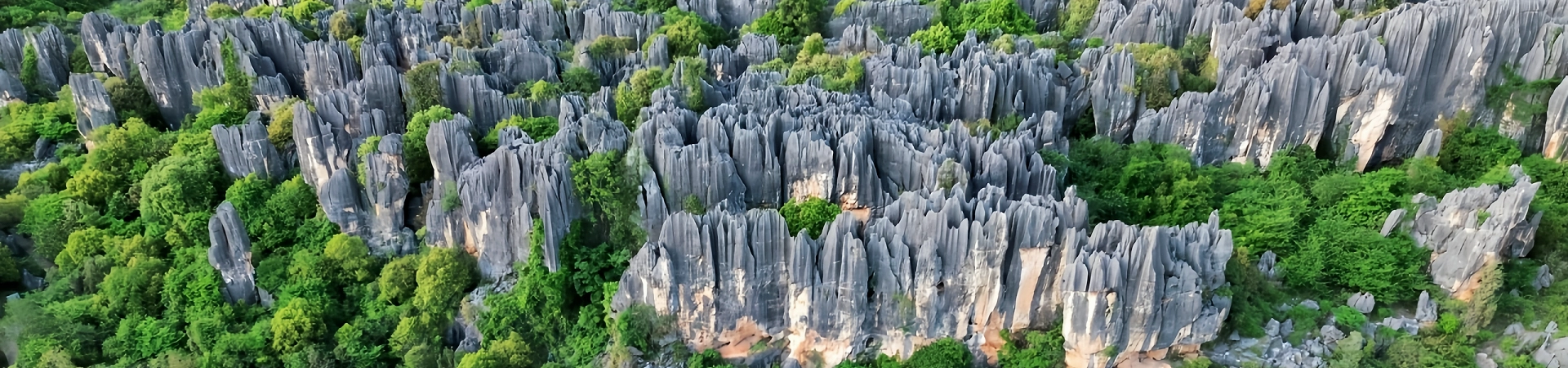 3-Day Kunming الثقافة