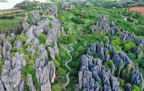 3-Day Kunming الثقافة