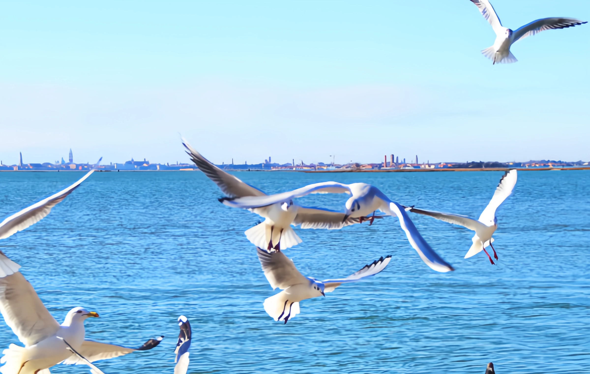  بحيرة (ديانشي) ألفيّة (جورني) الشعريّة من 