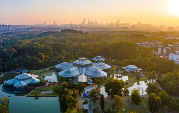 南中国植物 ガーデン: 植物の進化と都市のオアシスへの旅の活気に満ちた叙事詩。-2