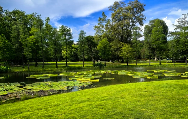 南中国植物 ガーデン: 植物の進化と都市のオアシスへの旅の活気に満ちた叙事詩。-3