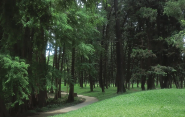 南中国植物 ガーデン: 植物の進化と都市のオアシスへの旅の活気に満ちた叙事詩。-4