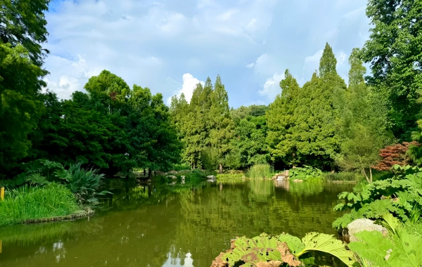 في الحديقة الغربية ملحمية من ممرضة جبلية إلى مملكة نباتية-2