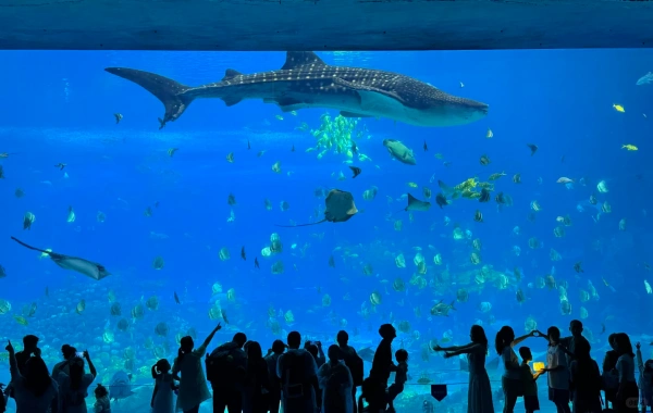 Chimelong Ocean Kingdom: A Legendary Journey from a Blue Dream World-Clas Ocean Theme Park-2