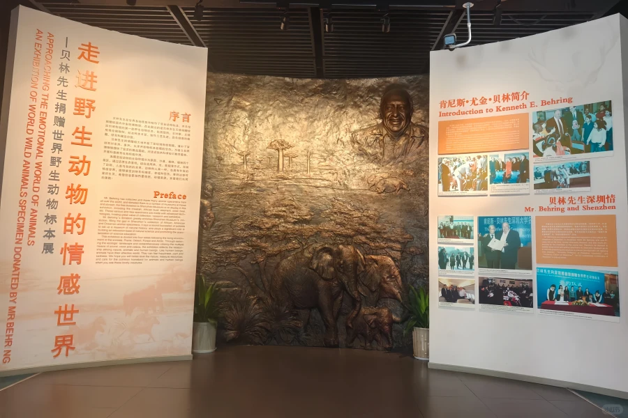 Shenzhen Museum: A Legendary Narrative Journey Through the Ages of a City-3