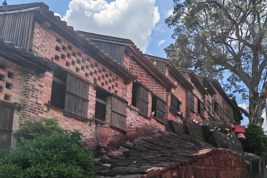 نانفنغ القديم Kiln: A Legendary Journey through Five Hundred Years of Unextinguished Fire in a Dragon Kiln-3