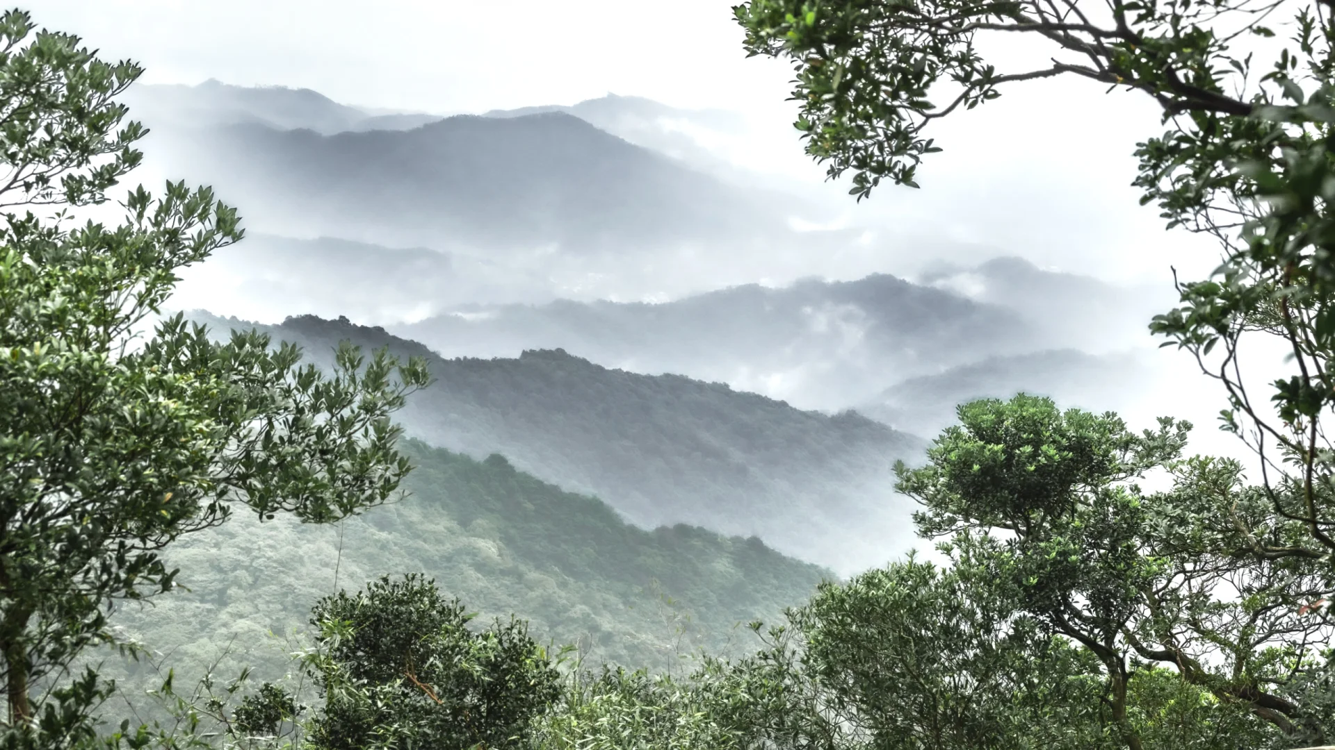 Luofu Berg: Eine Reise zum Wunderland von Lingnans Premier Mountain-2