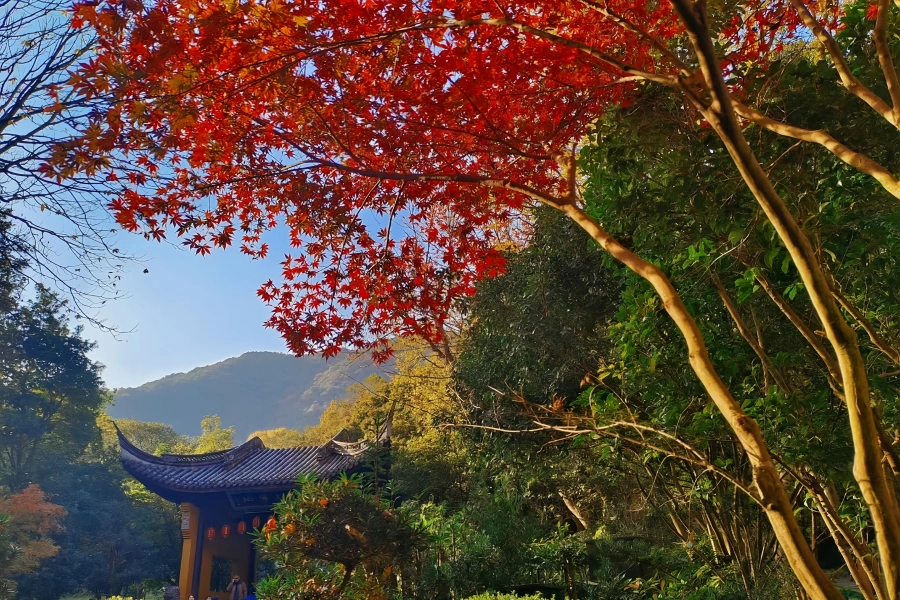 معبد لينغيين: حجّة من المكان الذي يقطن فيه (فولت بيك) إلى معبد (أنسسترال)-4