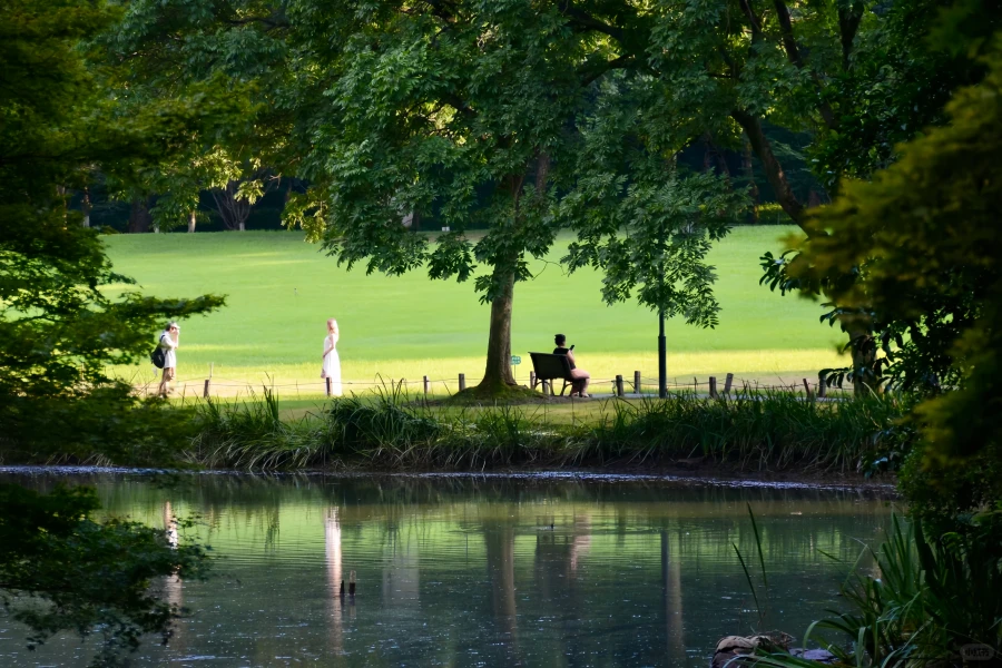 Prince Bay Park: A Rebirth Journey from West Lake Silt Site to Springtime Peak-4