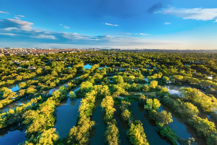 Xixi National Wetland Park