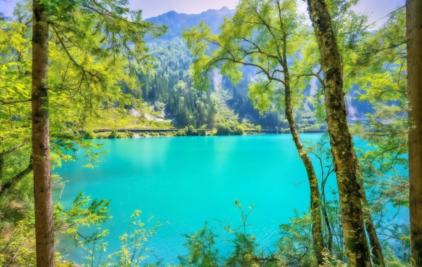 وادي جيوزهايغو