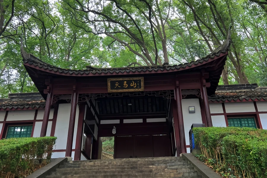 Tianma Mountain: A Hidden Wonderland Journey atop Shanghai's Land-based Summit-3