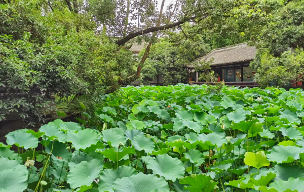 Chengdu Wuhou Temple: A Spiritual Hall for the Joint Worship of Kings and Ministers and the Three Kingdoms Culture-4