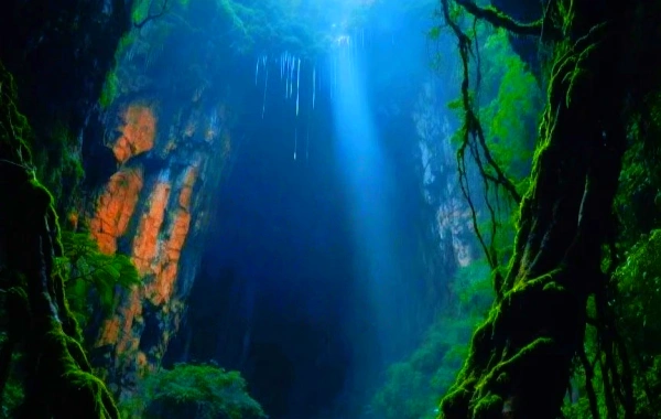 Réserve naturelle nationale de Maolan : une expédition vers la forêt de Karst Primordial-2