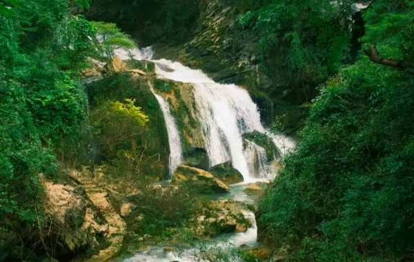Réserve naturelle nationale de Maolan : une expédition vers la forêt de Karst Primordial-3