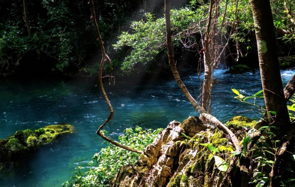 Réserve naturelle nationale de Maolan : une expédition vers la forêt de Karst Primordial-4