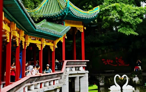 Eling Park: un viaggio attraverso un giardino vecchio secolo e viste panoramiche di due fiumi dal vertice della penisola di Chongqing-2