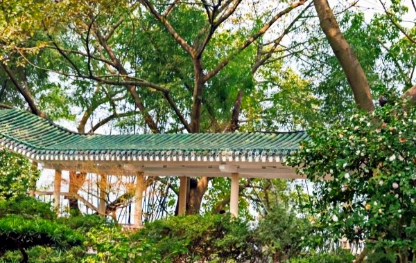 Eling Park: un viaggio attraverso un giardino vecchio secolo e viste panoramiche di due fiumi dal vertice della penisola di Chongqing-3