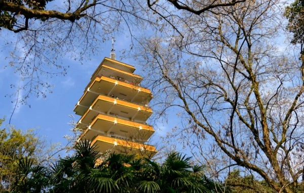 Eling Park: un viaggio attraverso un giardino vecchio secolo e viste panoramiche di due fiumi dal vertice della penisola di Chongqing-4