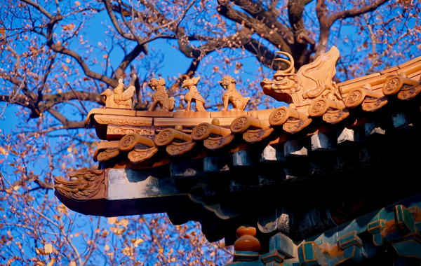 Ming Xiaoling Mausoleum:A Journey Through 600 Years of Imperial Epic and the Mystical Realm of Stone Statuaries-2