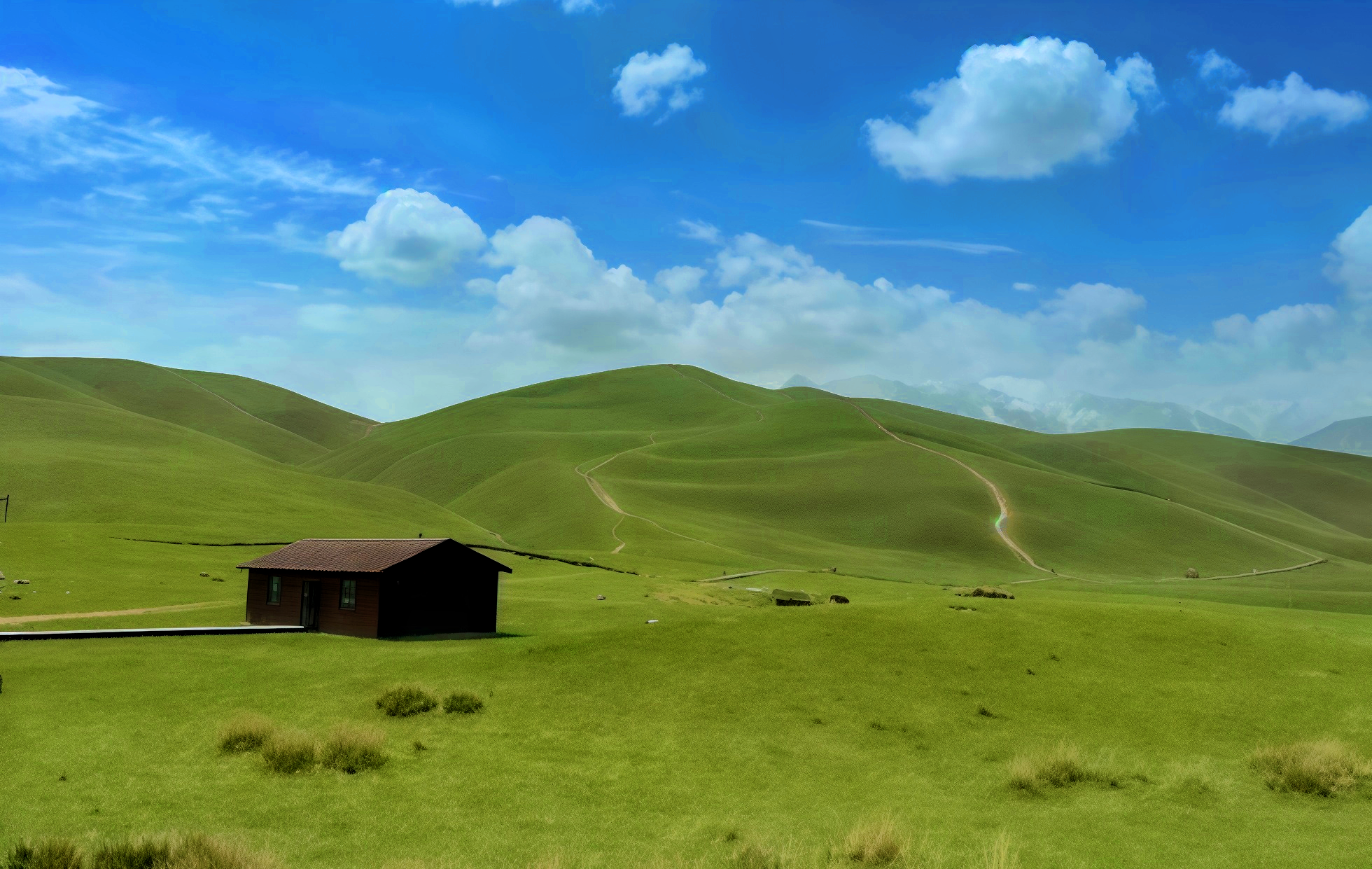 Banlange Grassland: A Journey into the Mystical Sanctuary at the Foot of the Kunlun Mountains-4