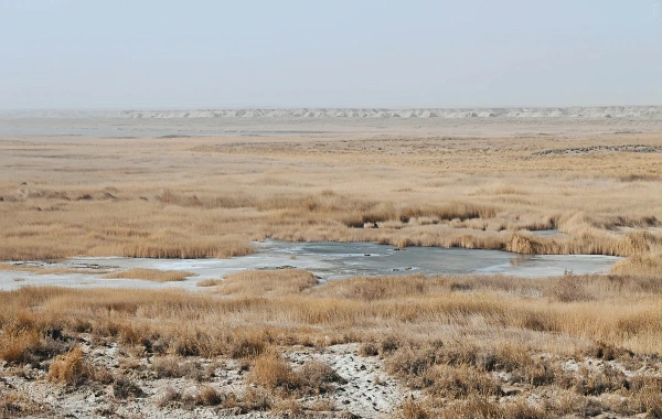 Passo Yumenguan: un viaggio attraverso duemila anni di poesia e di vigilanza anteriore-2