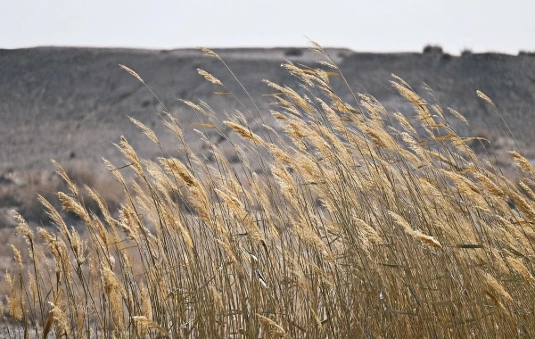 Passo Yumenguan: un viaggio attraverso duemila anni di poesia e di vigilanza anteriore-4