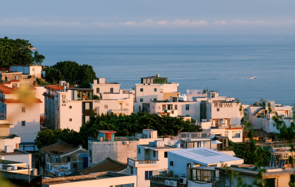 جزيرة دونجشان: An Ecological Legend from a Barren Sandy Island to an 