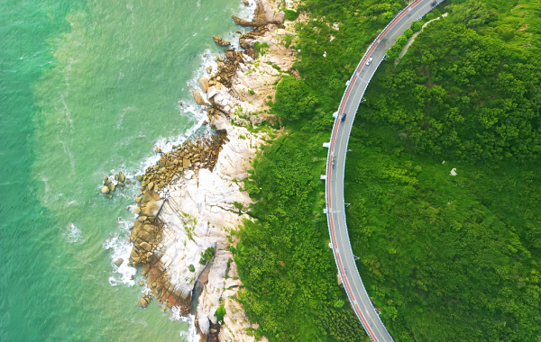 جزيرة دونجشان: An Ecological Legend from a Barren Sandy Island to an 