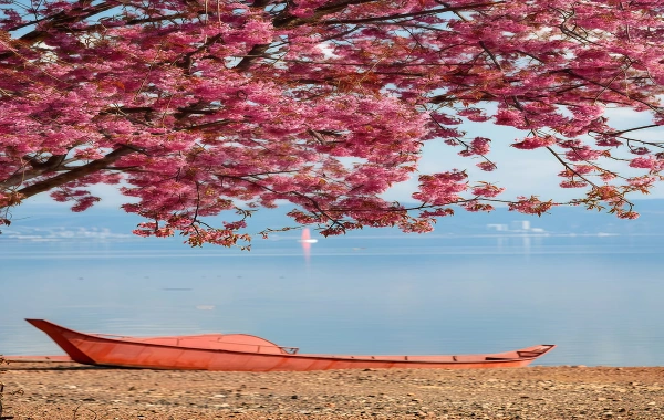 بحيرة فوكسيان: رحلة إيكولوجية لكشف مدينة عالم تحت الماء وملجأ أزرق-4
