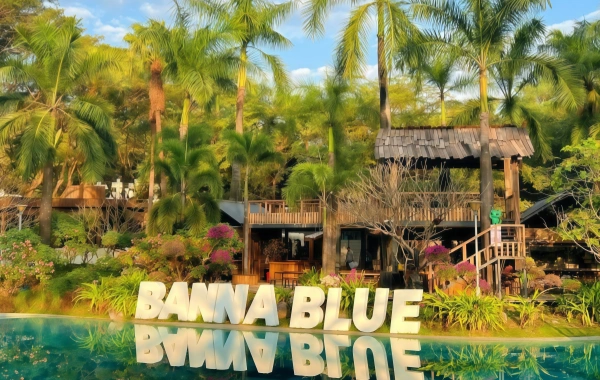  Tropical Botanical Garden:A Journey of Discovery into the Green Kingdom at 21°North Latitude