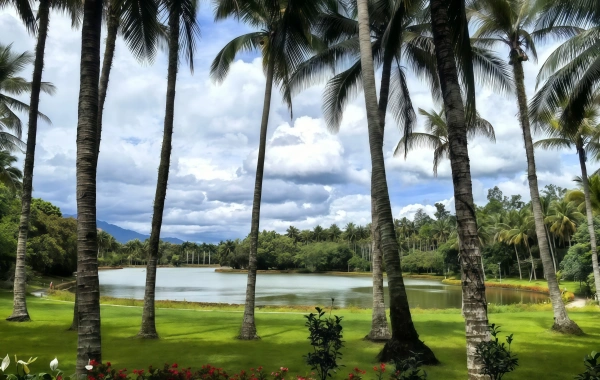  Tropical Botanical Garden:A Journey of Discovery into the Green Kingdom at 21°North Latitude-3