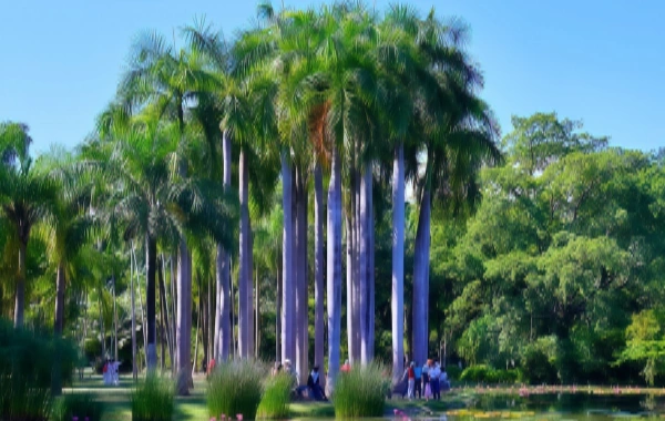  Tropical Botanical Garden:A Journey of Discovery into the Green Kingdom at 21°North Latitude-4