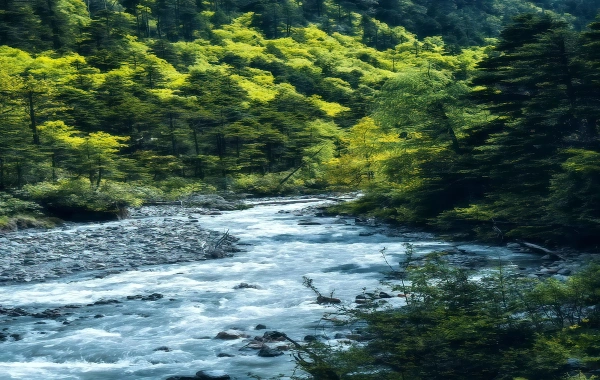  قرية يوبنغ: تراكينج جورني إلى شانغري لام تايمليس-4