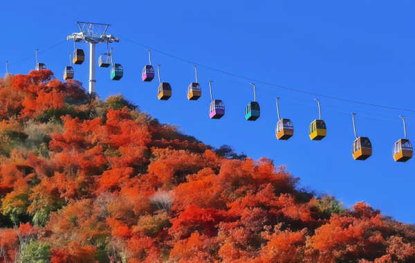 Fragrant Hills Park:A Legendary Landscape from Imperial Garden to Beijing's Red Sea of​​Colors-2