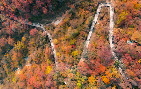 Fragrant Hills Park:A Legendary Landscape from Imperial Garden to Beijing's Red Sea of​​Colors-3