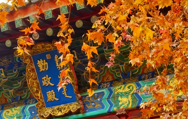 Fragrant Hills Park:A Legendary Landscape from Imperial Garden to Beijing's Red Sea of​​Colors-4