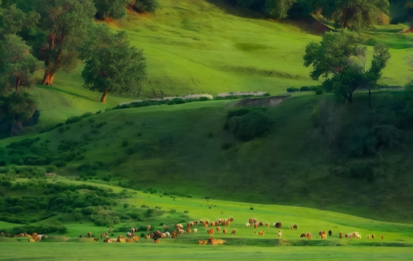 Ulan Butong Grassland:A Cinematic Journey—Galloping Through European-Style Landscapes and Famous Filming Locations-4