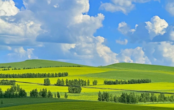 Hulunbuir Grasland:A (جورني) إلى (أعظم نهر وينينغ) في العالم في مملكة المراعي