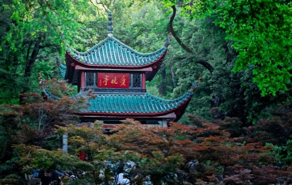 Yuelu Mountain National Key Scenic المنطقة: A Journey to the Pinnacle of the 