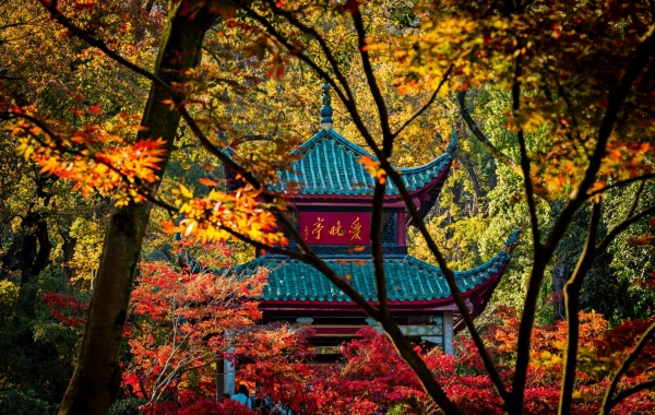 Yuelu Mountain National Key Scenic المنطقة: A Journey to the Pinnacle of the 