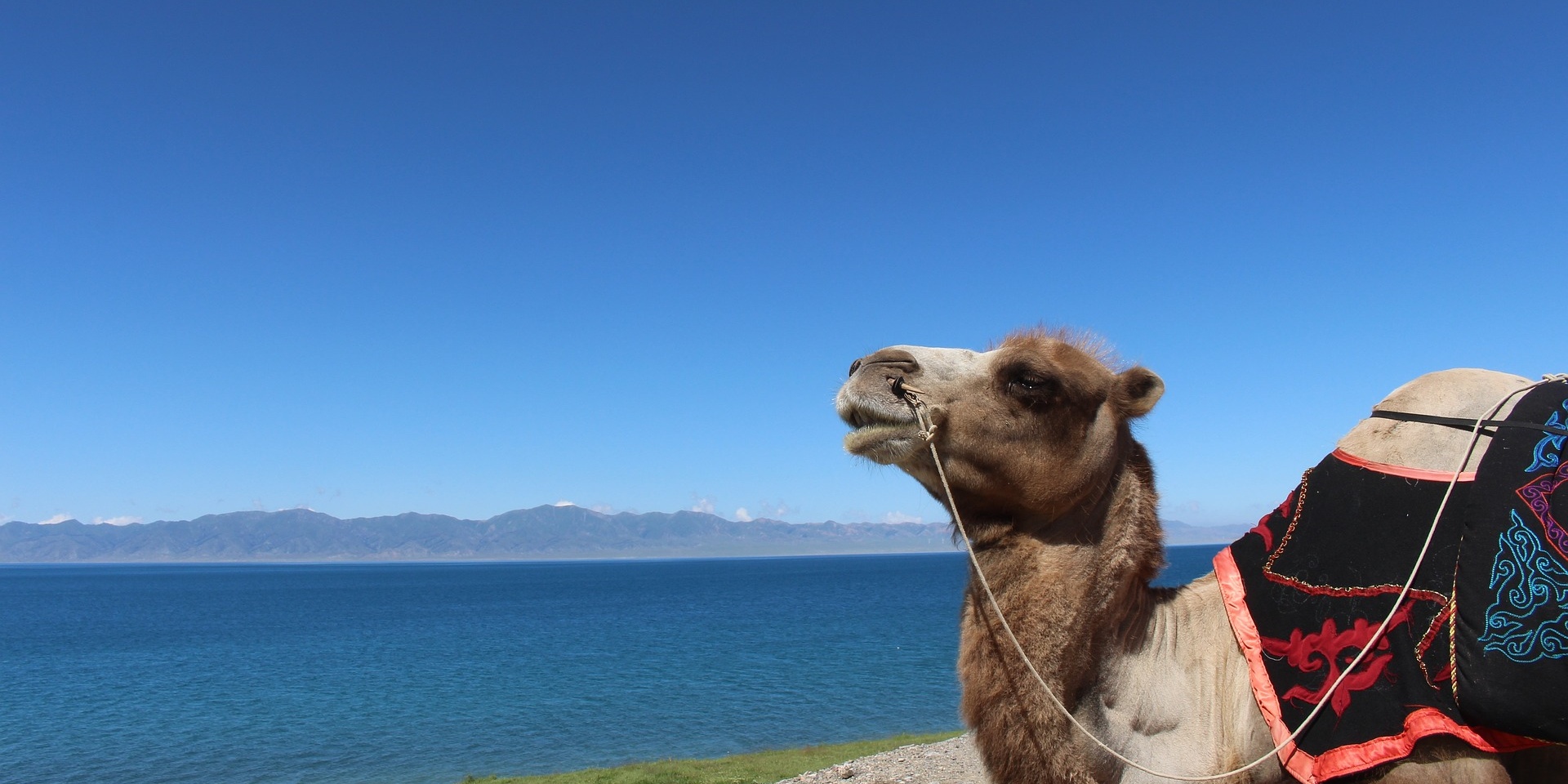 Les 10 principales activités de voyage de Xinjiang