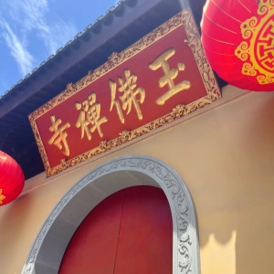 Explore Shanghai in One Day