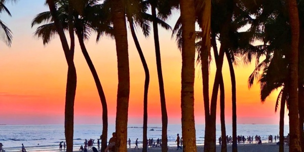 Sunset at Coconut Dream Corridor,china tour,3 days in sanya.jpg