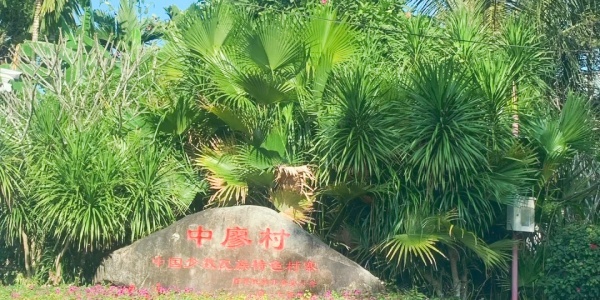 Zhongliao Village，china tour,3 days in sanya.jpg