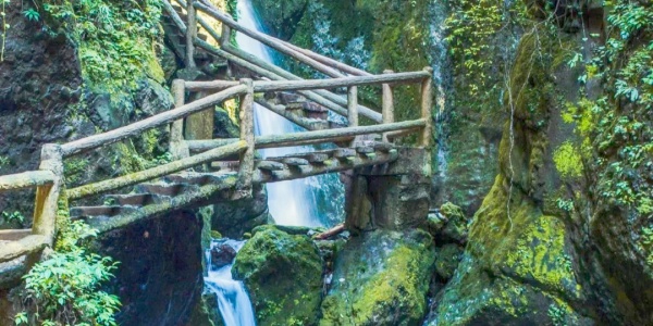 Qingcheng Mountain,family trip.jpg