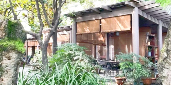 Chengdu People's Park,mount wuyi.jpg