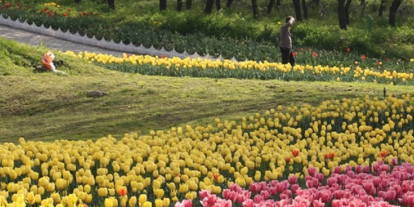 Qinling National Botanical Garden.jpg
